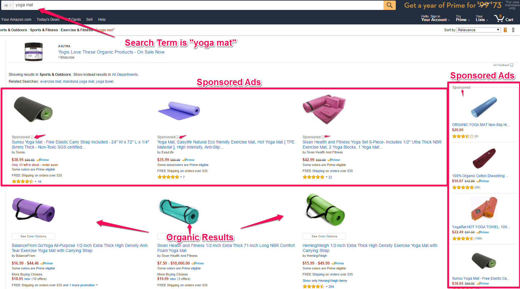 Where Do Amazon PPC Ads Appear? Where Do Amazon PPC Ads Appear?